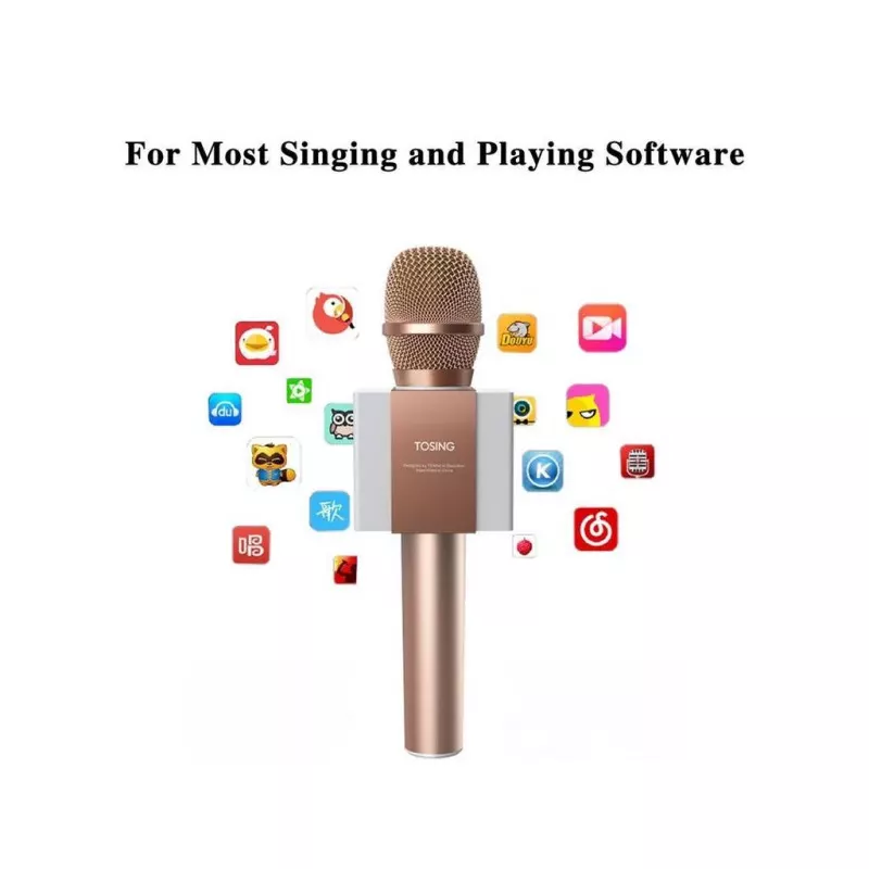 Karaoke mikrofon med Bluetooth högtalare 5W – Roségold